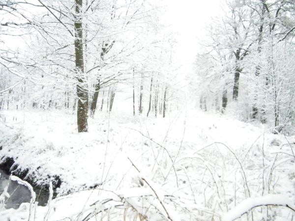 zimna zima zimowa  tak po prostu