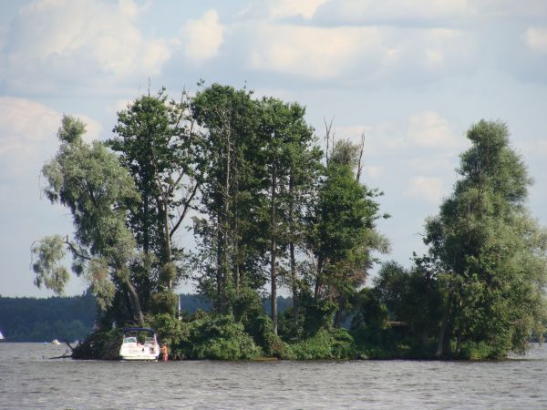Wysepka na Jeziorze Zegrzyńskim (08.08.2009)