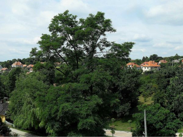 Panorama części miasta z tarasu przy starej Synagodze
