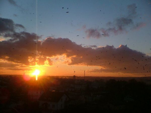 Fot.:Bożena Chmielewska. Brodnica. Zachód słońca.