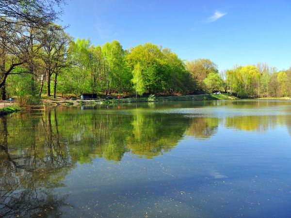 zdjecie Wodzisław Śląski