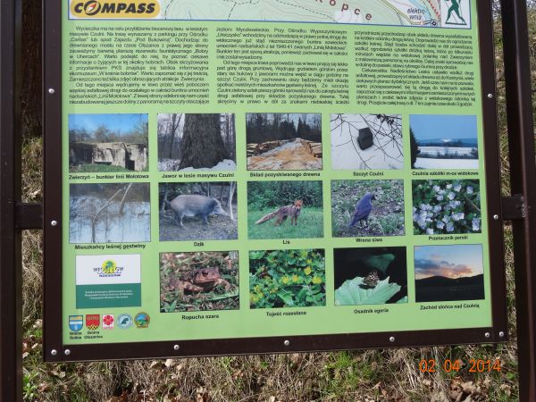 plansza z mapą okolicy i zdjęciami przedstawicieli fauny i flory - przy bunkrze.