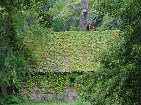 Dom ogrodnika, szachulcowy z 1890 r.