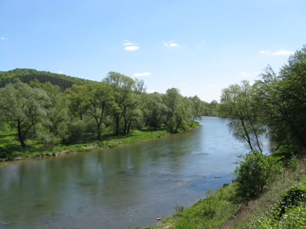 "Las Selpy" - na wzniesieniach, a za Sanem był kamieniołom, w powiązaniu z jego działalnością za okupacji niemieckiej powstało w Trepczy getto - obóz pracy firm