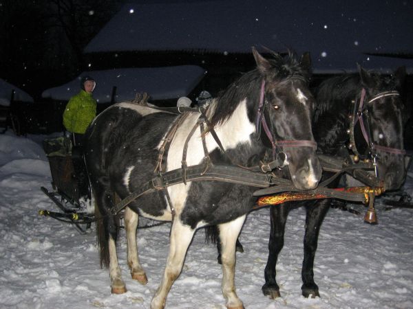 01.01.2011 kulig zorganizowany przez Pensjonat Sztynort... z kopyta kulig mknie! Hey! Ho! Wiśta! Wio!