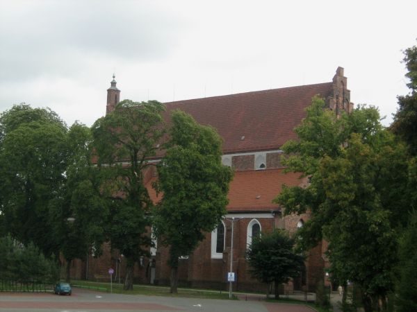 Kolegiata w Szamotułach