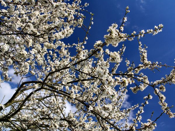 zdjecie Tyniewicze Duże