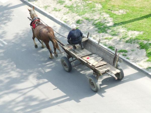 Ulicą Baziową nie tylko samochody jeżdżą :)