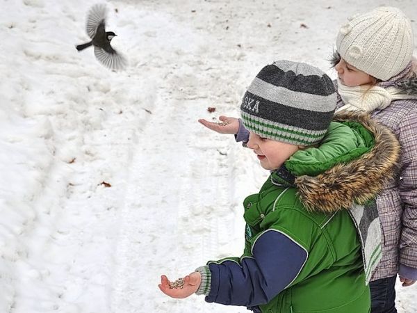 Busko-Zdrój, Ania i Antoś karmią sikorki w parku uzdrowiskowym.