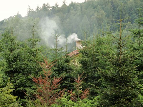 Widok z niebieskiego szlaku. To nie czas konklawe - tu się pali drewnem.
