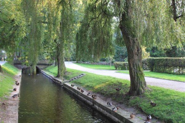 Rzeka Nizica / Szczecinek