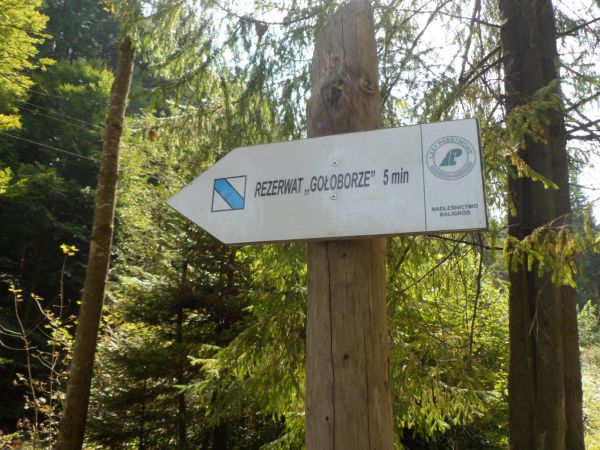 przy drodze - na wysokości sztolni Fredry - i obok studzienki z wodą mineralną zawierającą związki siarczków arsenu - jest przejście przez mostek nad  Rabskim P