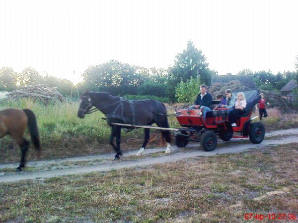 Rekowo-przejdżka bryczką