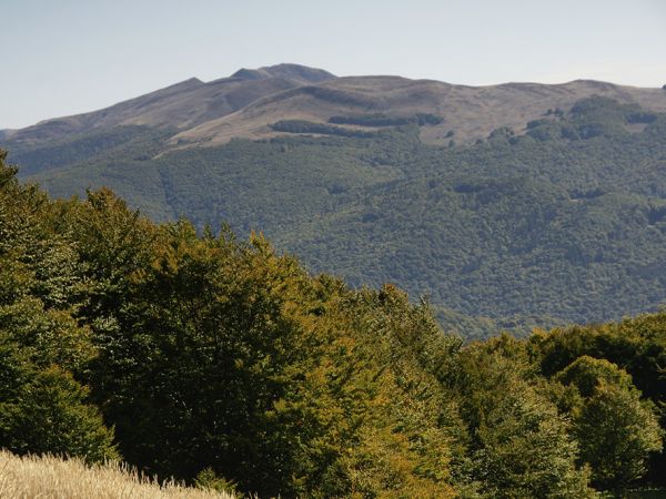Widok na Szeroki Wierch