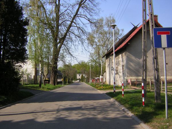 zdjecie Sulechów