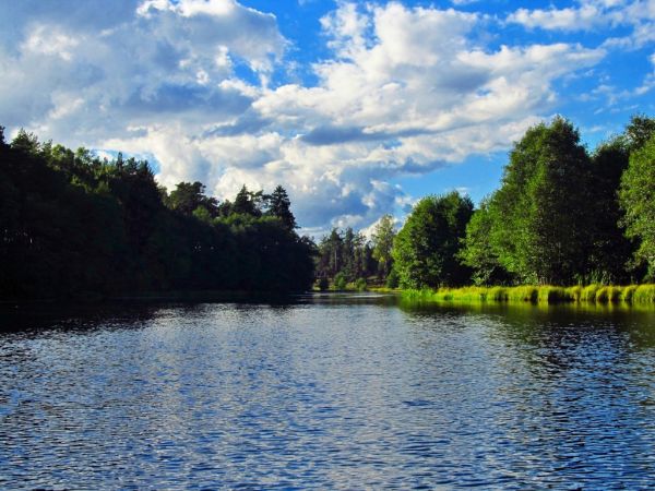 Rozlewisko rzeki Wdy przed zaporą i Starym Młynem