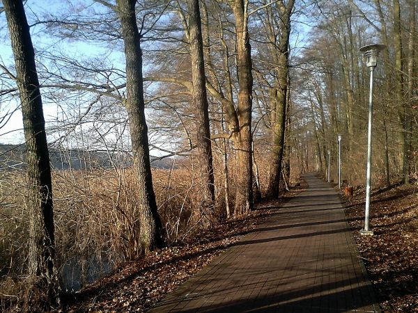 Sępólno Krajeńskie - promenada w kierunku plaży miejskiej.