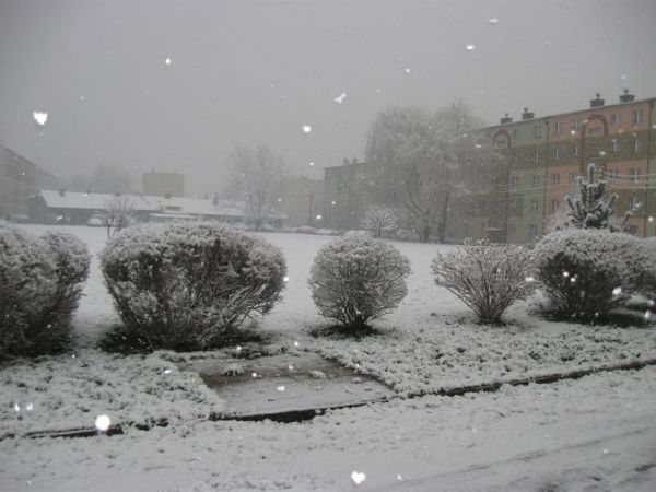 Zima w Knurowie 2009r.