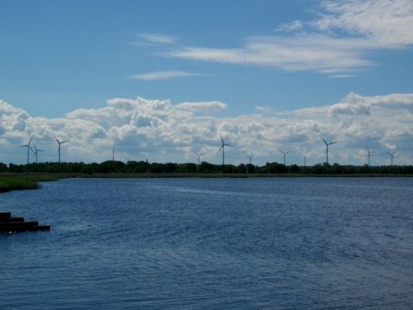 Ochrona środowiska elektrownia wiatrowa w Dźwirzynie
Jolanta Stolarska