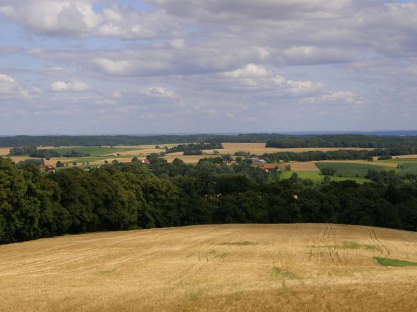 Widok spod klasztoru