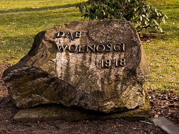 Planty ,Dąb Wolności , obelisk -Nowy Sącz