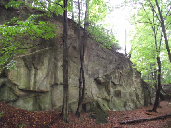 między tymi drzewami - jakby lico jakieś wyciosane na płaszczyźnie było, a może?...