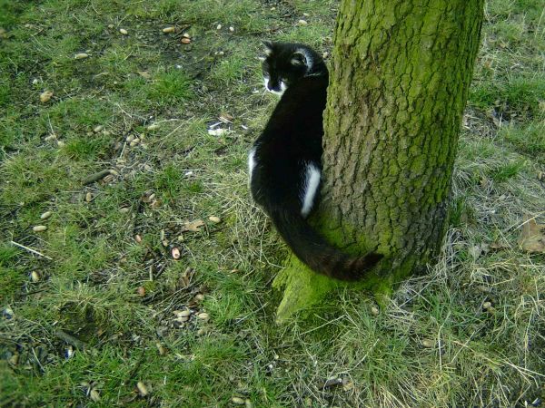 miało się dziać tylko w którym kierunku  pytanie bez odpowiedzi