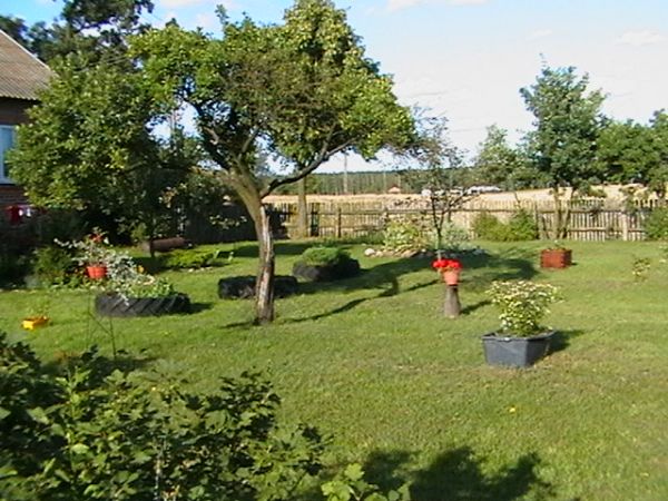 Ogródki wiejskie są bardzo zadbane.