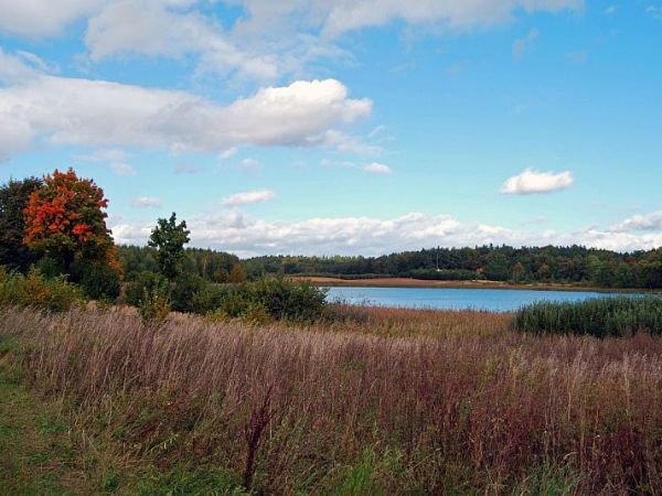 Tulice - wrzesień 2012.