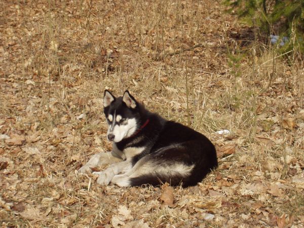 Zapomnieli mnie zabrać?? Czy im się znudziłem??
