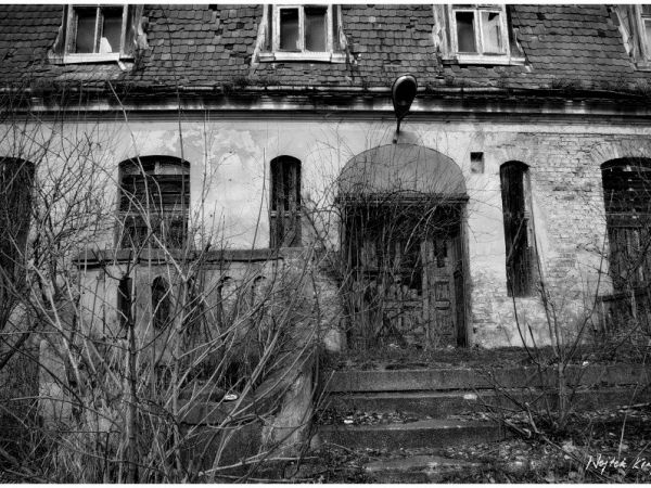 KOŁBACZ

http://wojtekkrajnik.com.pl/