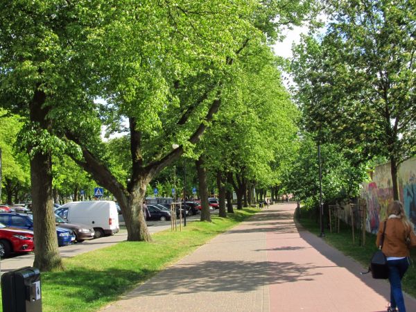 Aleja wzdłuż parkingu w stronę Parku Tysiąclecia