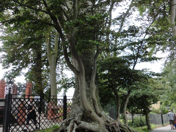 zdjecie Ustronie Morskie