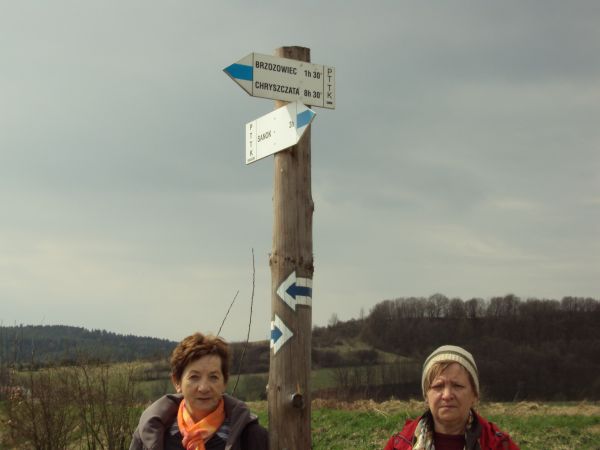 przy słupie z oznaczeniami i opisami "szlaku niebieskiego" - my z Sanoka do Brzozowca przyjechaliśmy i duktami leśnymi - posiłkując się oznaczeniami tymi - prze