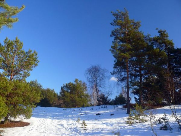 "Piaskowa Góra"-uroczysko