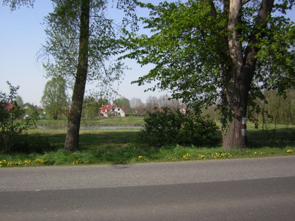 zdjecie Sulechów
