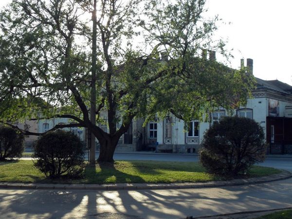 Rondo przy Dworcowej i Dworzec PKP