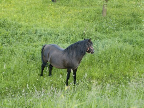 zdjecie Kolonia Nadwiślańska
