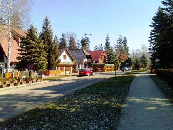 Polańczyk - ul. Sanatoryjna