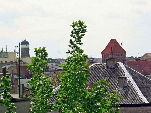 Panorama zabytkowa Chojnic