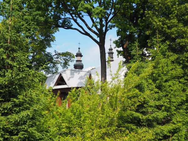 wieże kościelne - dostrzeżone w otulinie nasyconego zielenią sąsiedztwa świątyni.