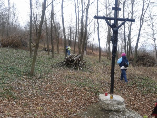 Dawniej na cmentarzach zabronione było ścinanie drzew, zbieranie kwiatów czy nawet koszenie trawy, gdyż wierzono, że przebywają w nich duchy zmarłych - prawdą j