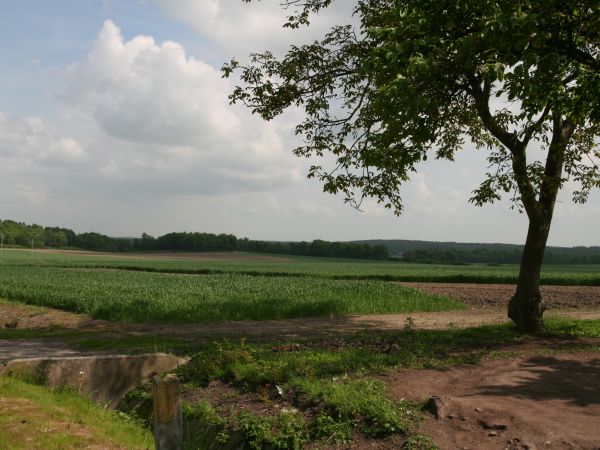 Widok na pola za wsią od strony Motyczyna