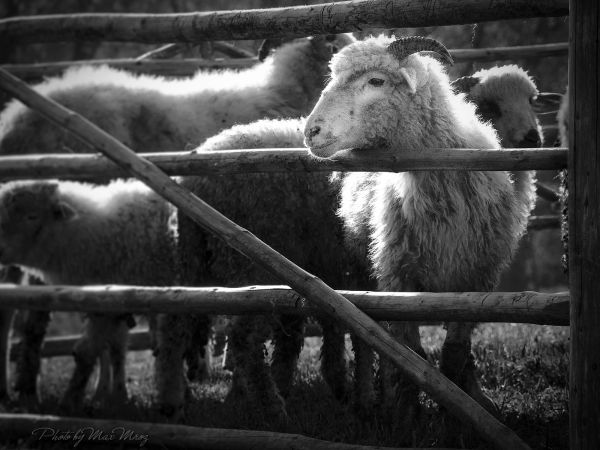 zdjecie Białka Tatrzańska