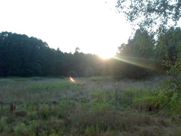 Wąwóz Pieklisko - wzdłuż rzeczki Kraszówka w Nowych Jaroszowicach.