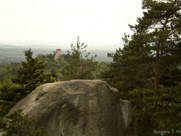 Lipiec 2006  Zamek Kamieniec widok z Prządki