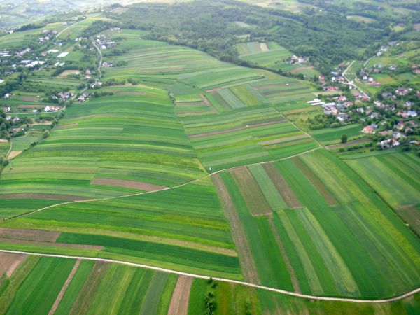 Chochorowice i Niskowa. Maj 2009 r.