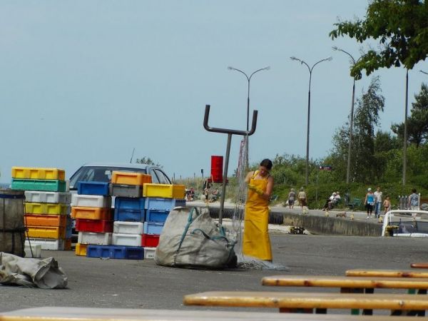 Przy wejściu do portu w Mrzeżynie można kupic świeże ryby prosto z kutrów.