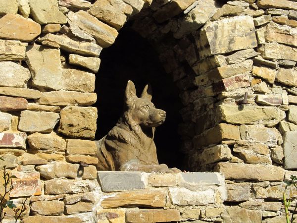 Niedzica Zamek nad jeziorem Czorsztyńskim