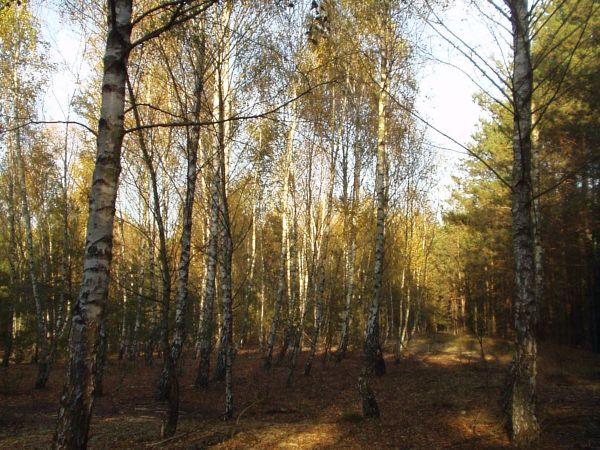 Teren występowania kozaków